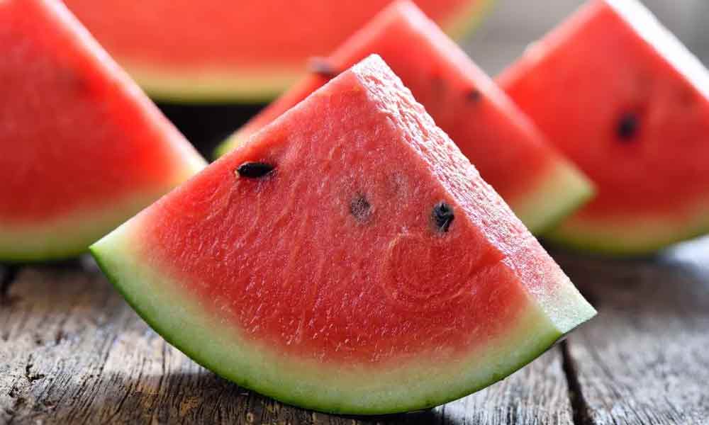 Watermelon-NewsORB360